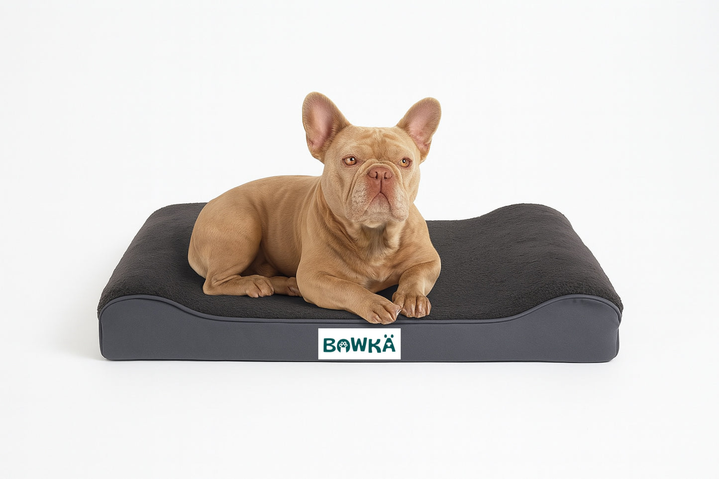 Cama ortopedica Lounger