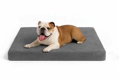 Cama Ortopedica Anti Estres