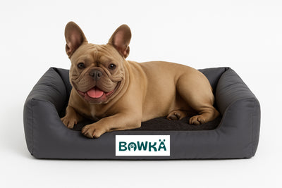 Cama Ortopedica Bolster