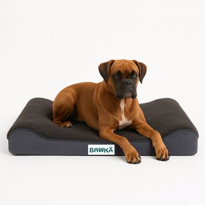 Cama ortopedica Lounger