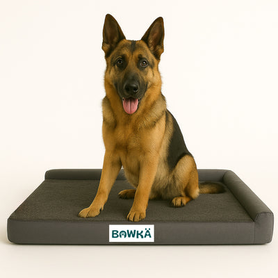 Cama Ortopedica Luxury